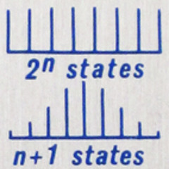 Buchla 266 Noise & Modulations