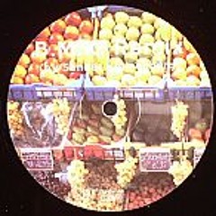 Sander Kleinenberg - The fruit (Grant Smillie and Ivan Goughs mix)