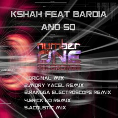 REMIXES & MASHUPS
