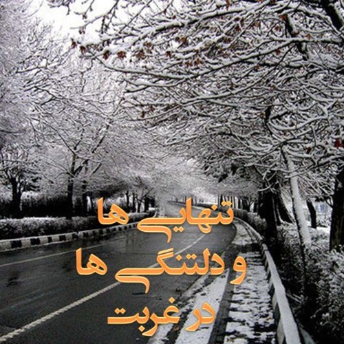 Tasnif Sarve Chaman