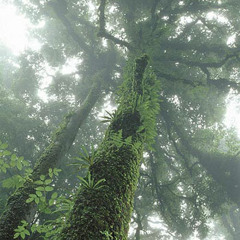 เพราะผูกพัน - Smith & Shane