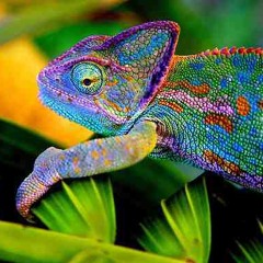 If you leave this place....