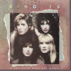 The Bangles - If She Knew What She Wants (W99 Remix)