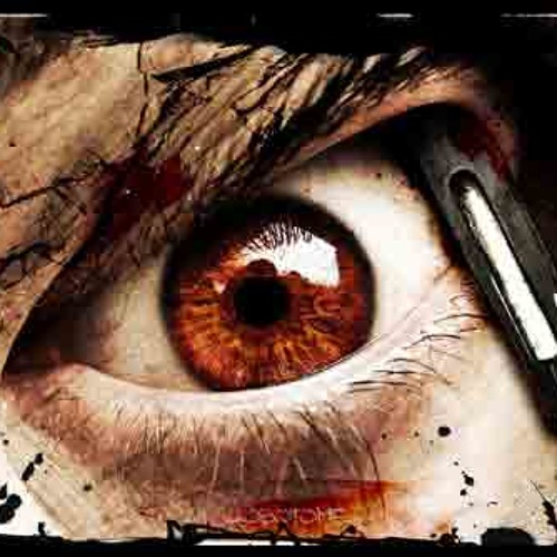 Le Sampleur Fou - Unreal world (on LSF 01)