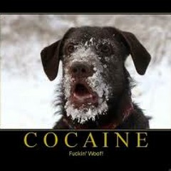 Afghan Headspin - Cocaine (Physical Bross Remix) FREE DOWNLOAD