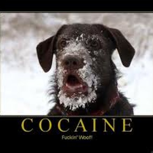 Afghan Headspin - Cocaine (Physical Bross Remix) FREE DOWNLOAD