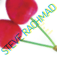 Steve Rachmad - Fruit Of The Room EP - WOLF021