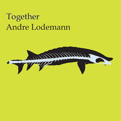 Andre Lodemann - Together - Freerange