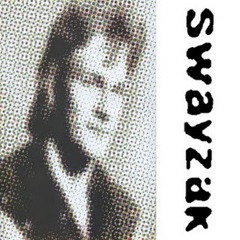 Swayzak - Hof Ter Lo (Rennie Foster Remix)