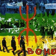 Boho - Din rebb
