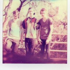 The Young Friends - I Fell Asleep