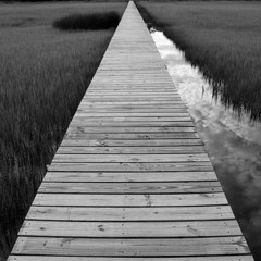 1 SENDA.GFONEfeat.goyo