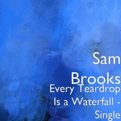 Every Teardrop is a Waterfall