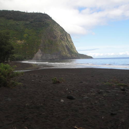 Hawaii 4-22-11 Live Set Natural Love 4