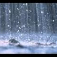 Харш - Би хуурамч биш