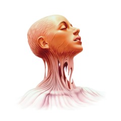 Teenage Bad Girl - X Girl feat. Rye Rye (Alan Braxe Instrumental)