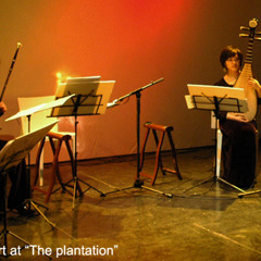 it will snow tomorrow if the bear eats the stars tonight | Timi Ensemble | Boston | 2008