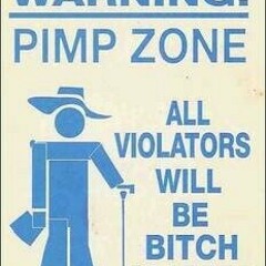 10 Hoes Aint Shit - JAMEZ MAC FT. BIG FA$E... PRODUCED BY THUGIE SANCHO