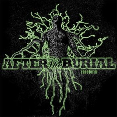 After The Burial - Aspiration feat. Mark Chaos