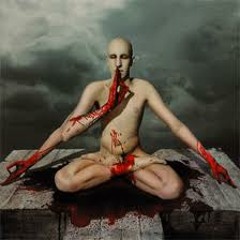 Bleed Meshuggah Remix