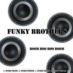 Funky Brothers - Boom Boo Boo Boom (LL House Version)