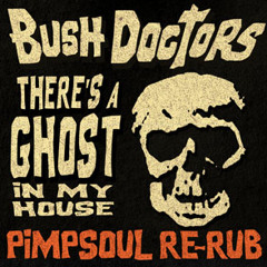 Bush Doctors - Ghost In My House (Pimpsouls' "Get Scarey With Me" Mix) - bonus track with EP