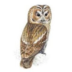 Houses (Movement II: Selling Worth)