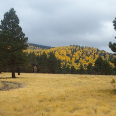 Mountains Of Gold