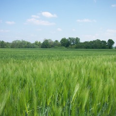 I still get no sleep today