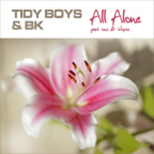 Tidy Boys & BK - All Alone (Rob Davies vs Tranz-linquants Remix)