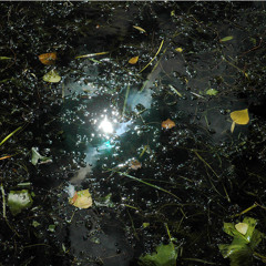 Pondlife (demo) - Mp3 version