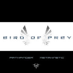 Bird of Prey-Metakinetic