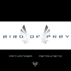 Bird of Prey ft. Ryan Johnson & Robert Rich-Pathfinder