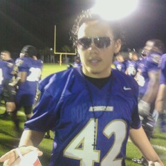 Black and purple treasure coast bobcats