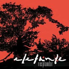 Elefante-Y tu no estas (Ivan voz cover)