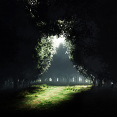 Lost In a Dark Existence