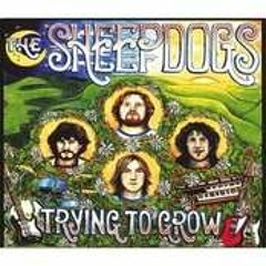 Hang Onto Yourself -The Sheepdogs