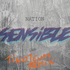 Nation - Sensible (1ino1eum Remix)