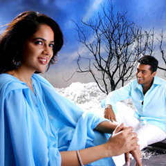 vaaranam
