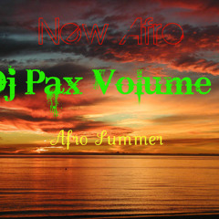 NEW AFRO - Dj Pax Volume 9 - Afro Summer 2011