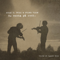Gammelsteinomen - Ho venta på rock