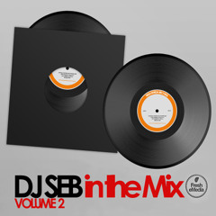 DJ Seb in the Mix vol 2. (Black meets Dirty House Music)