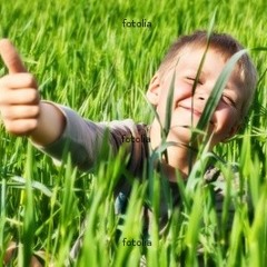 Lyroholika - Alles Bestens