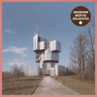 Unknown Mortal Orchestra - Ffunny Ffrends