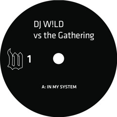 DJ W!LD vs The Gathering - In My System (The W Label, W01)