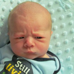 Welcome to Earth- Steezy