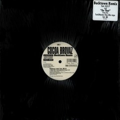 Cocoa Brovaz ft Tony Touch & Hurricane G spanish Harlem (prod by Otis & Tey)