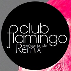 Club Flamingo - Nobody (Acid Andee &amp; Black Dance REMIX)