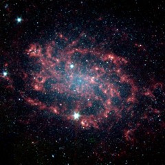 A Taste Of Something Old Yet New