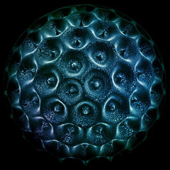 Ascion - Attrition
